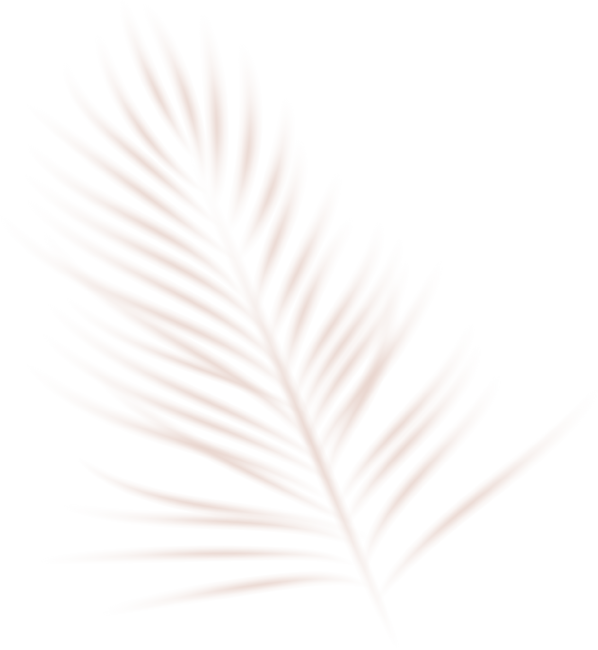 Wall Shadow Overlay Palm