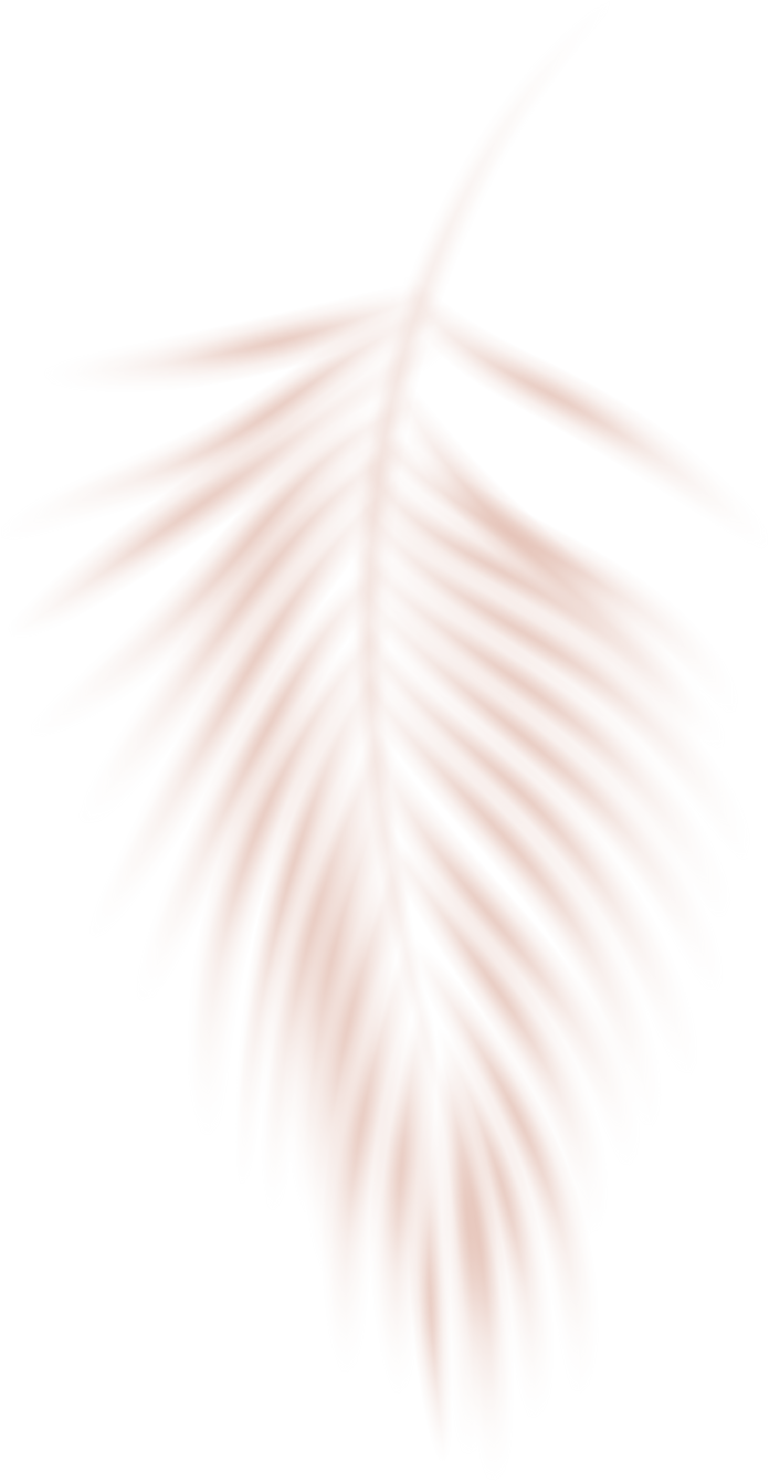 Wall Shadow Overlay Palm