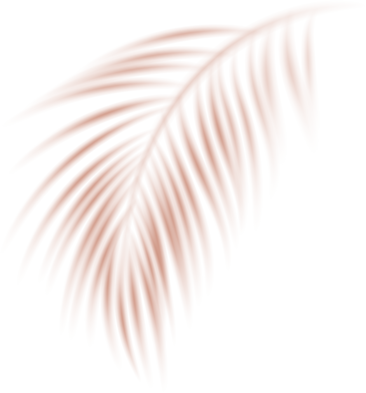 Palm Wall Shadow Overlay